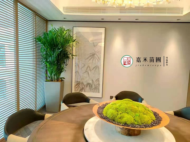 西安辦公室綠植租賃好處|嘉禾苗圃