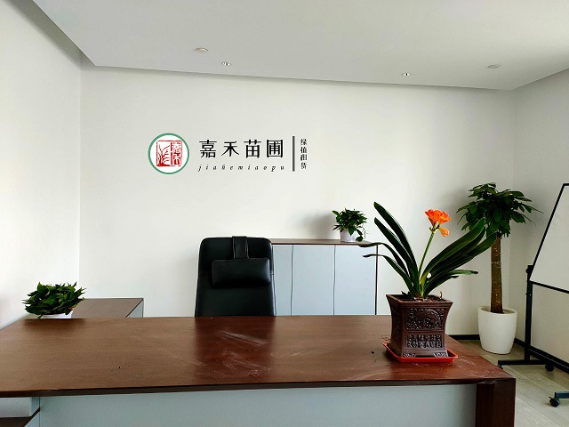 西安開花植物租賃|西安嘉禾苗圃