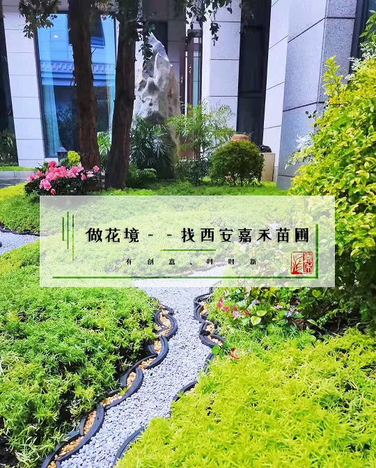 西安花境景觀擺放|嘉禾苗圃