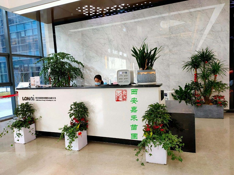 西安靠譜綠植租賃公司|嘉禾苗圃 西安靠譜綠植租賃公司|嘉禾苗圃