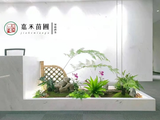 西安高端花卉租擺租賃|嘉禾苗圃