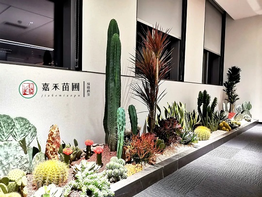 西安造型花堆租擺租賃|嘉禾苗圃