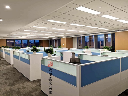 西安花卉租擺案例|西安嘉禾苗圃 西安花卉租擺案例|西安嘉禾苗圃