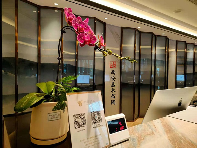 西安花卉租賃養(yǎng)護(hù)|嘉禾苗圃 西安花卉租賃養(yǎng)護(hù)|嘉禾苗圃