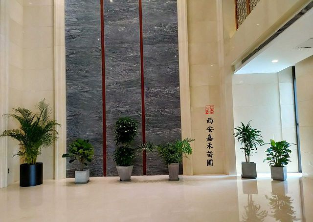 西安售樓部大廳花卉租擺|西安嘉禾苗圃