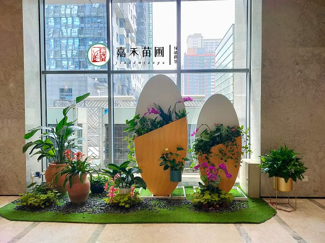 西安綠植花卉組合盆栽|西安嘉禾苗圃