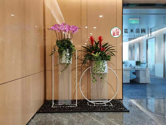 西安花卉租擺|西安嘉禾苗圃