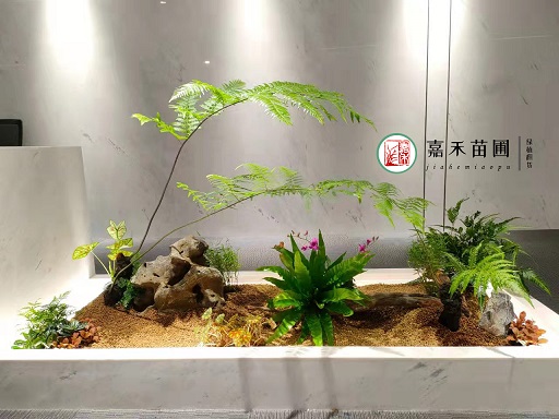 西安室內(nèi)花境設(shè)計(jì)|嘉禾苗圃