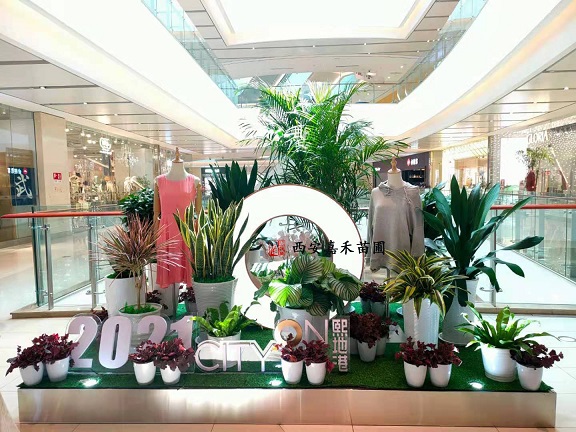 西安商場綠植租賃|西安嘉禾苗圃