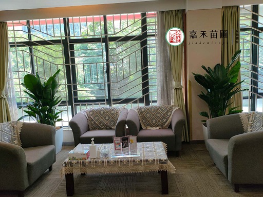 西安接待室花卉綠植租擺|西安嘉禾苗圃