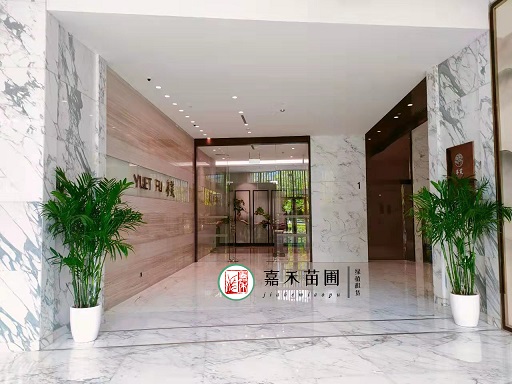 西安綠化花卉租擺|西安嘉禾苗圃