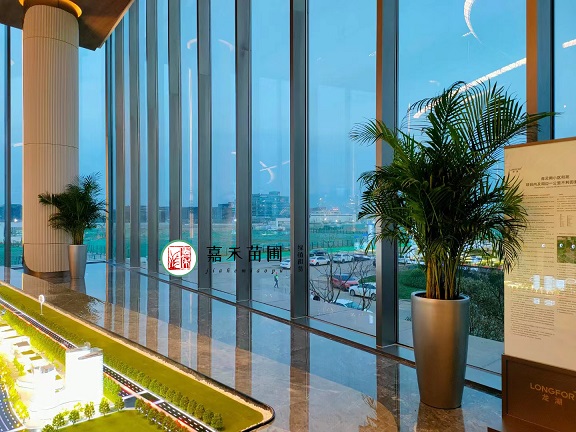 西安綠植租擺報(bào)價(jià)方案|西安嘉禾苗圃