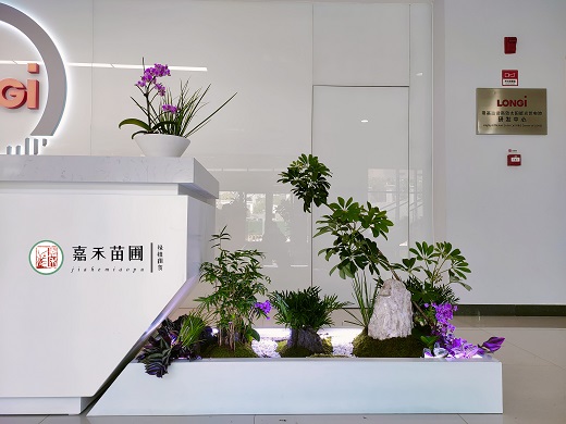 西安辦公室綠植租擺設(shè)計(jì)方案|西安嘉禾苗圃