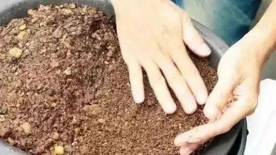 豆餅（渣）處理方式|西安嘉禾苗圃