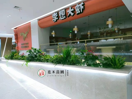 西安花卉租擺綠植租賃|西安嘉禾苗圃