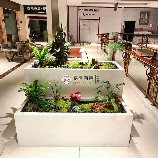 西安花卉綠植租賃|西安嘉禾苗圃