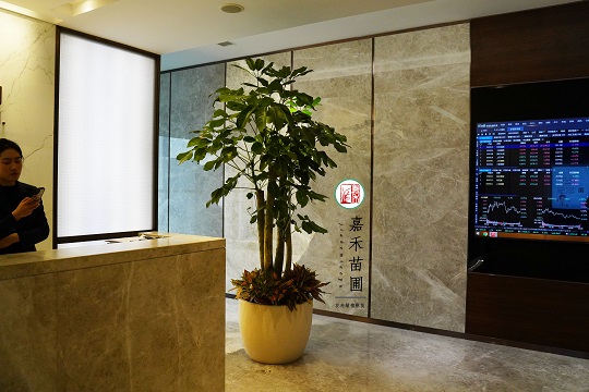 西安辦公室綠植租賃|西安嘉禾苗圃