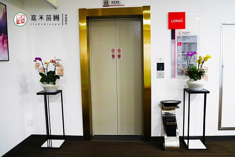 輕奢辦公室綠植租賃|西安嘉禾苗圃