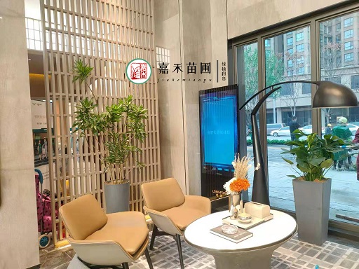 西安售樓部綠植租賃公司|西安嘉禾苗圃