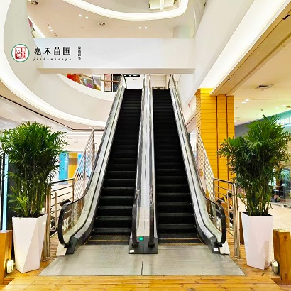 商場租擺花卉設計方案|西安嘉禾苗圃