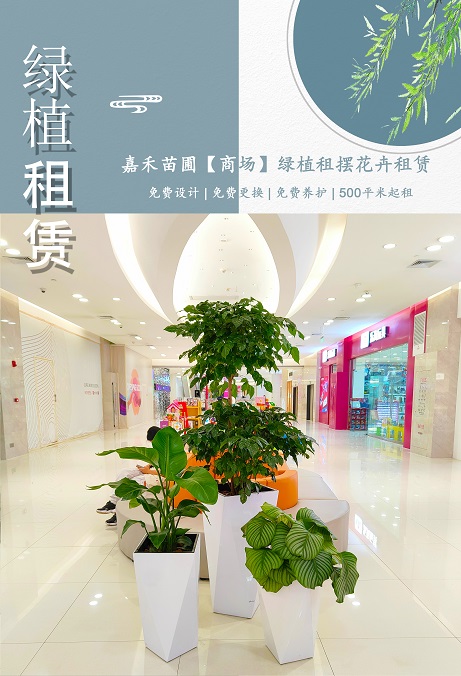 西安商場花卉綠植租賃公司|西安嘉禾苗圃