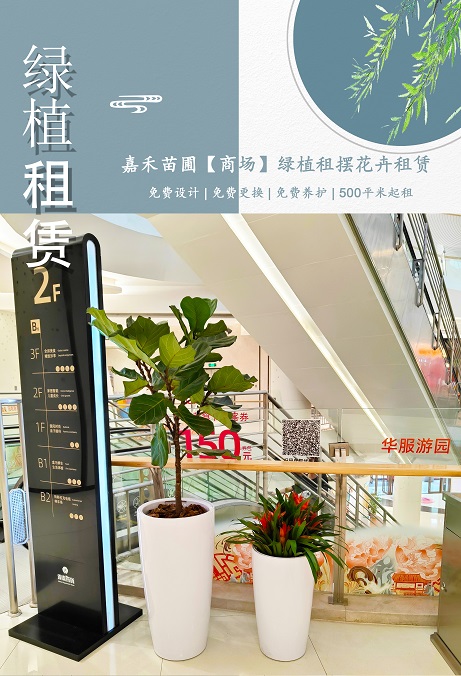 西安商場花卉綠植租賃商家|西安嘉禾苗圃