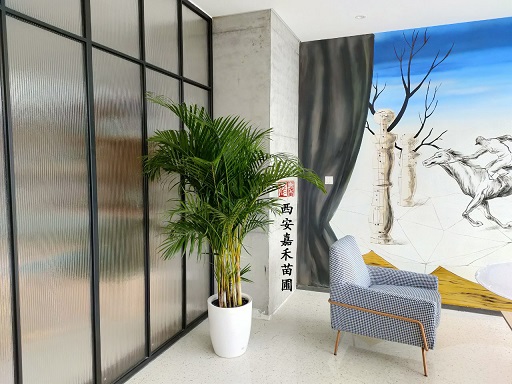 辦公區(qū)域花卉綠植租擺|西安嘉禾苗圃