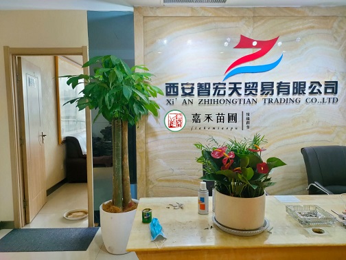 辦公室花卉租擺公司|西安嘉禾苗圃