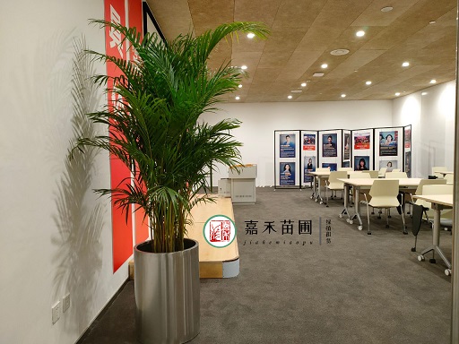 西安綠植租賃公司|西安嘉禾苗圃