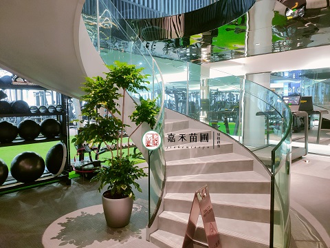 西安綠植租賃|西安嘉禾苗圃