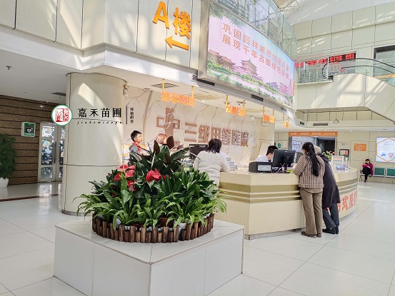 西安醫(yī)院綠植租擺|西安嘉禾苗圃