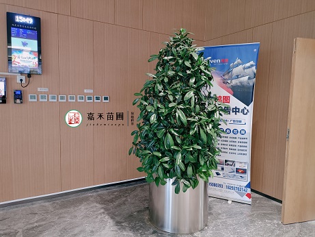 綠植租擺公司|西安嘉禾苗圃