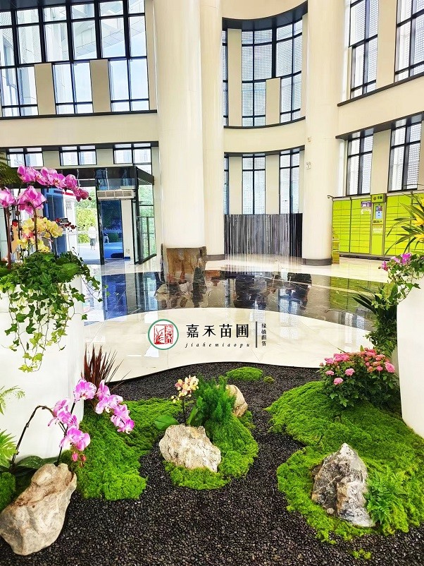 綠植造景設(shè)計(jì)|西安嘉禾苗圃