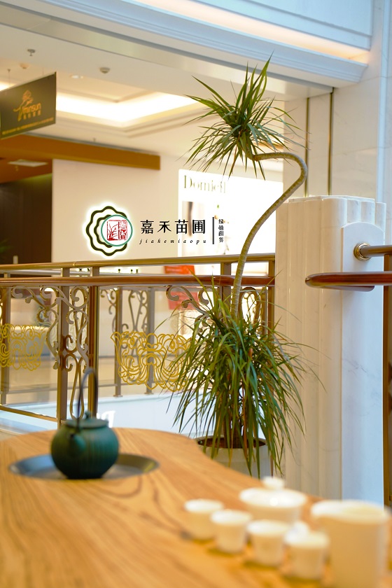 西安綠植租賃案例|西安嘉禾苗圃