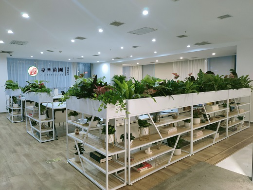 西安綠植租賃案例|西安嘉禾苗圃