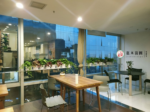 休息區(qū)綠植租賃|西安嘉禾苗圃