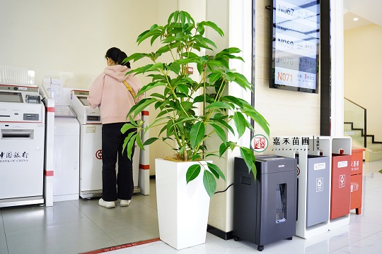 西安綠植租賃公司：西安嘉禾苗圃