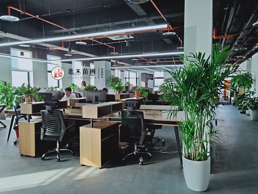 西安辦公室綠植租擺|西安嘉禾苗圃