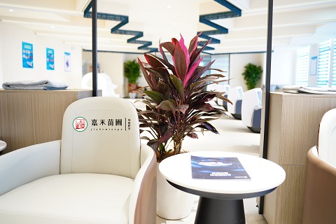 西安綠植租賃|西安嘉禾苗圃