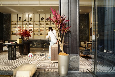 龍湖售樓部綠植租賃|西安嘉禾苗圃