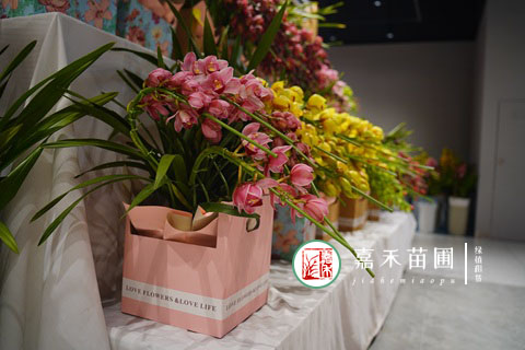 西安花卉租賃電話|西安嘉禾苗圃15202909185